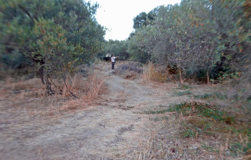 Route to the tomb thru the olive grove