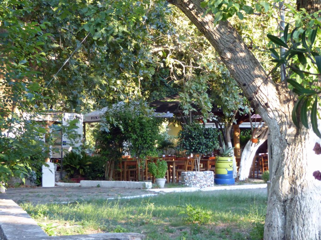 Tables in the shade of the plane trees at Pissas
