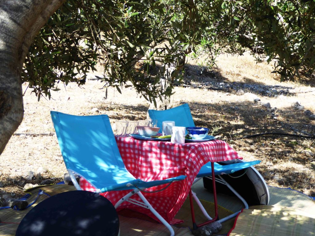 Setup for your picnics in Crete - in the midst of an olive grove